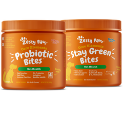 Stay Zesty Bundle - Pumpkin Probiotic Bites™ & Stay Green Bites™ 2-Pack